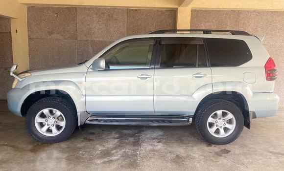 Buy Used Toyota Land Cruiser Prado Other Car in Maputo in Maputo Buy Used Toyota Land Cruiser Prado Other Car in Maputo in Maputo