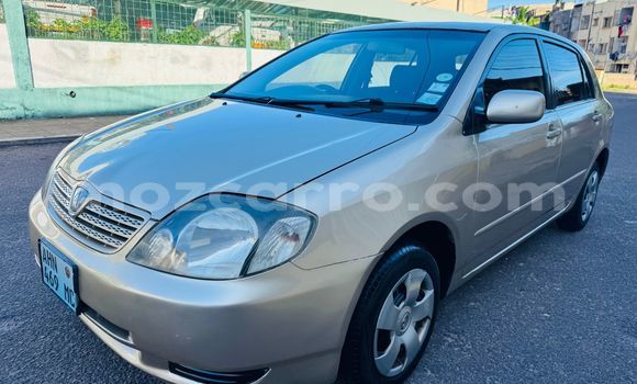 Nunua Ilio tumika Toyota Allex Brown Gari ndani ya Maputo nchini Maputo Nunua Ilio tumika Toyota Allex Brown Gari ndani ya Maputo nchini Maputo