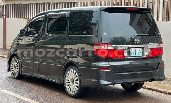 Tenga Tsaru Toyota Alphard Nhema Mota in Maputo in Maputo Tenga Tsaru Toyota Alphard Nhema Mota in Maputo in Maputo