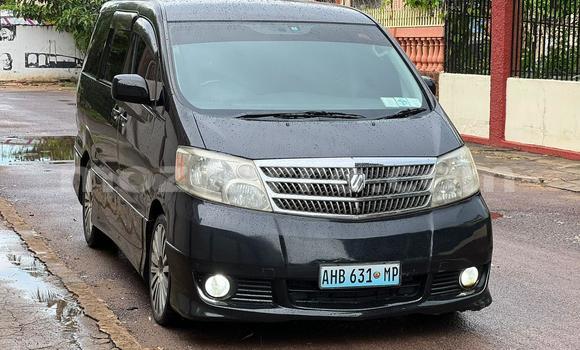 Tenga Tsaru Toyota Alphard Nhema Mota in Maputo in Maputo Tenga Tsaru Toyota Alphard Nhema Mota in Maputo in Maputo