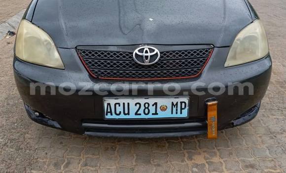Comprar Usado Toyota Runx Preto Carro em Búzi em Sofala