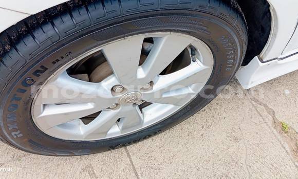 Tenga Tsaru Toyota Ractis Chena Mota in Caia in Sofala Tenga Tsaru Toyota Ractis Chena Mota in Caia in Sofala