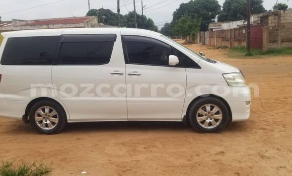 Tenga Tsaru Toyota Alphard Chena Mota in Boane in Maputo Tenga Tsaru Toyota Alphard Chena Mota in Boane in Maputo