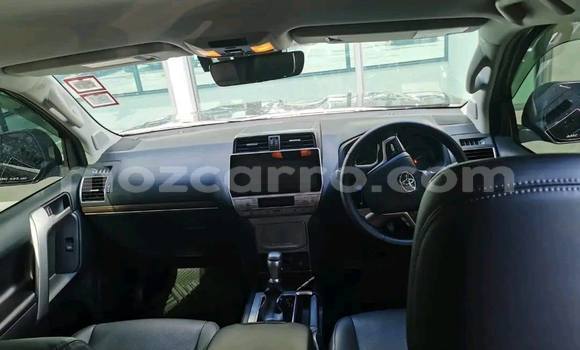 Tenga Tsaru Toyota Land Cruiser Prado Nhema Mota in Búzi in Sofala Tenga Tsaru Toyota Land Cruiser Prado Nhema Mota in Búzi in Sofala