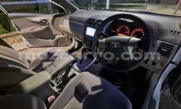 Tenga Tsaru Toyota Axio Chena Mota in Maputo in Maputo Tenga Tsaru Toyota Axio Chena Mota in Maputo in Maputo