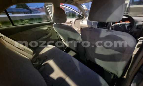 Tenga Tsaru Toyota Axio Chena Mota in Maputo in Maputo Tenga Tsaru Toyota Axio Chena Mota in Maputo in Maputo