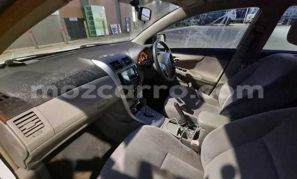 Tenga Tsaru Toyota Axio Chena Mota in Maputo in Maputo Tenga Tsaru Toyota Axio Chena Mota in Maputo in Maputo