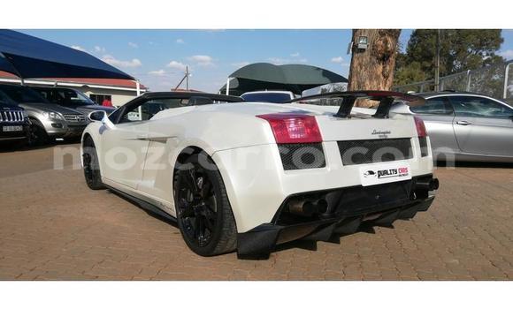 Comprar Usado Lamborghini Gallardo Branco Carro em Gilé em Zambezia Comprar Usado Lamborghini Gallardo Branco Carro em Gilé em Zambezia