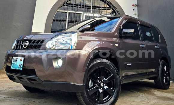 Buy Used Nissan X-Trail Brown Car in Maputo in Maputo Buy Used Nissan X-Trail Brown Car in Maputo in Maputo