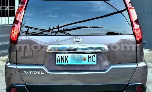 Buy Used Nissan X-Trail Brown Car in Maputo in Maputo Buy Used Nissan X-Trail Brown Car in Maputo in Maputo