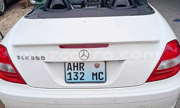 Tenga Tsaru Mercedes‒Benz CLK-klasse Chena Mota in Maputo in Maputo Tenga Tsaru Mercedes‒Benz CLK-klasse Chena Mota in Maputo in Maputo