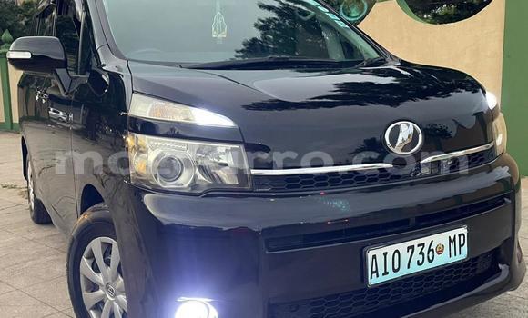 Tenga Tsaru Toyota Noah Nhema Mota in Maputo in Maputo