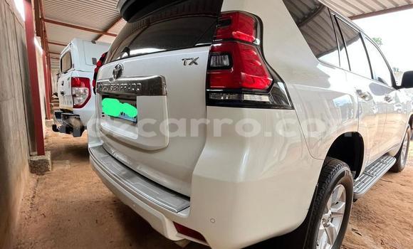 Tenga Itsva Toyota Land Cruiser Chena Mota in Maputo in Maputo Tenga Itsva Toyota Land Cruiser Chena Mota in Maputo in Maputo