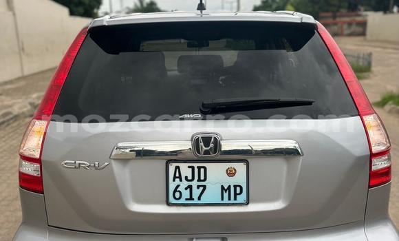 Buy New Honda CR-V Other Car in Maputo in Maputo Buy New Honda CR-V Other Car in Maputo in Maputo
