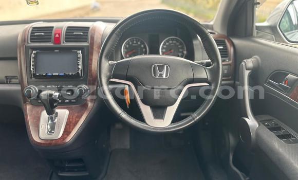 Buy New Honda CR-V Other Car in Maputo in Maputo Buy New Honda CR-V Other Car in Maputo in Maputo