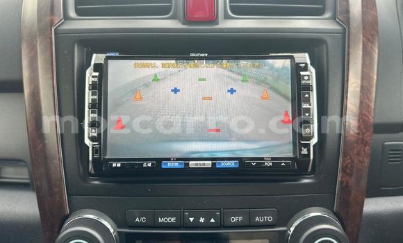Buy New Honda CR-V Other Car in Maputo in Maputo Buy New Honda CR-V Other Car in Maputo in Maputo