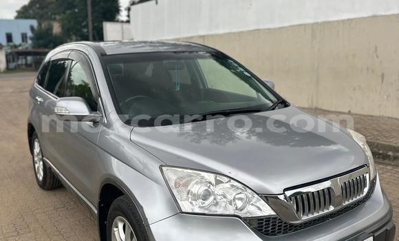 Buy New Honda CR-V Other Car in Maputo in Maputo Buy New Honda CR-V Other Car in Maputo in Maputo