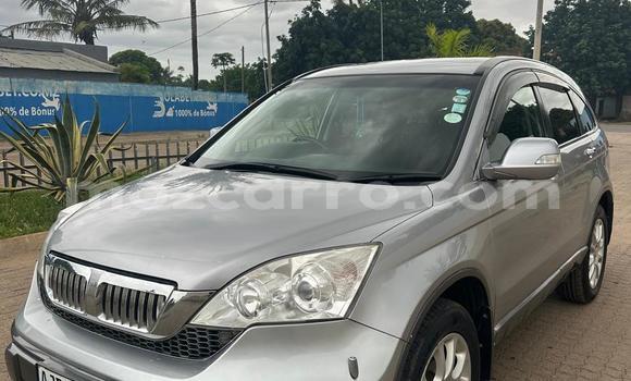 Buy New Honda CR-V Other Car in Maputo in Maputo Buy New Honda CR-V Other Car in Maputo in Maputo