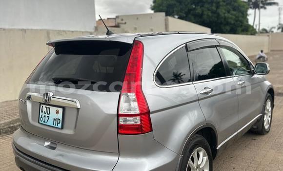 Buy New Honda CR-V Other Car in Maputo in Maputo Buy New Honda CR-V Other Car in Maputo in Maputo