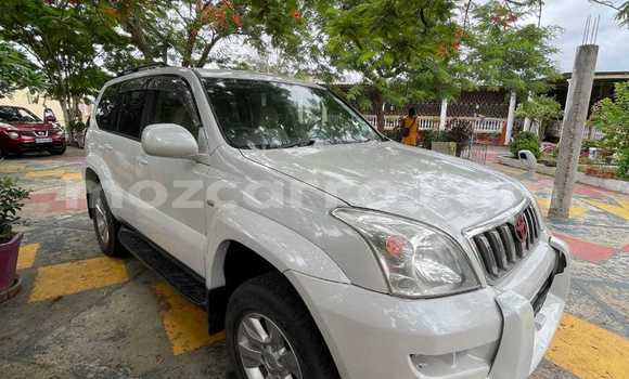 Tenga Tsaru Toyota Land Cruiser Prado Chena Mota in Maputo in Maputo Tenga Tsaru Toyota Land Cruiser Prado Chena Mota in Maputo in Maputo