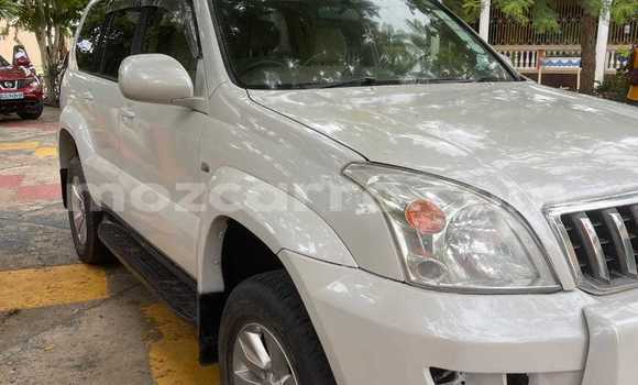 Tenga Tsaru Toyota Land Cruiser Prado Chena Mota in Maputo in Maputo Tenga Tsaru Toyota Land Cruiser Prado Chena Mota in Maputo in Maputo
