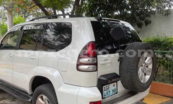 Tenga Tsaru Toyota Land Cruiser Prado Chena Mota in Maputo in Maputo Tenga Tsaru Toyota Land Cruiser Prado Chena Mota in Maputo in Maputo