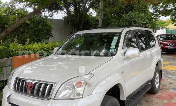 Tenga Tsaru Toyota Land Cruiser Prado Chena Mota in Maputo in Maputo Tenga Tsaru Toyota Land Cruiser Prado Chena Mota in Maputo in Maputo