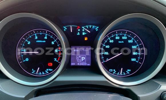 Comprar Novo Toyota Land Cruiser Branco Carro em Maputo em Maputo Comprar Novo Toyota Land Cruiser Branco Carro em Maputo em Maputo