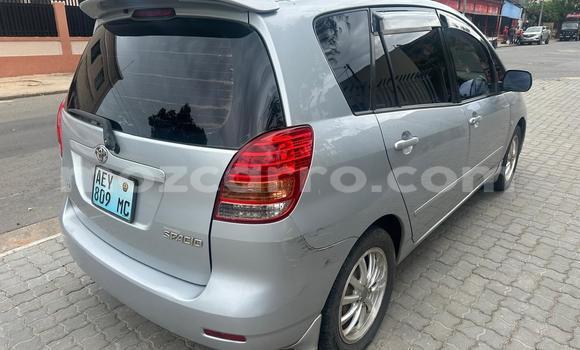 Buy Used Toyota Spacio Silver Car in Maputo in Maputo Buy Used Toyota Spacio Silver Car in Maputo in Maputo