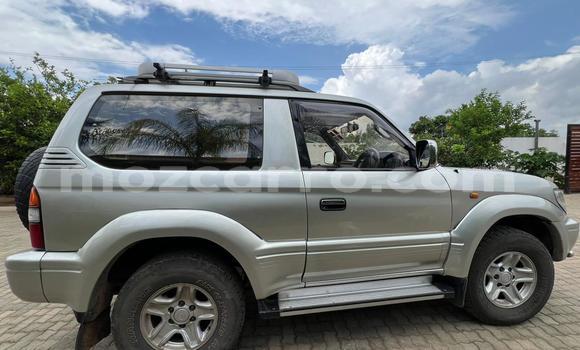 Comprar Usado Toyota Land Cruiser Prado De outros Carro em Maputo em Maputo Comprar Usado Toyota Land Cruiser Prado De outros Carro em Maputo em Maputo