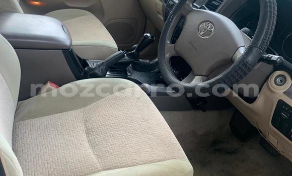 Comprar Usado Toyota Land Cruiser Prado Branco Carro em Maputo em Maputo Comprar Usado Toyota Land Cruiser Prado Branco Carro em Maputo em Maputo
