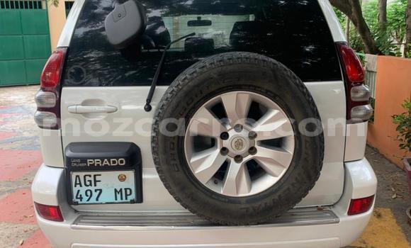 Comprar Usado Toyota Land Cruiser Prado Branco Carro em Maputo em Maputo Comprar Usado Toyota Land Cruiser Prado Branco Carro em Maputo em Maputo