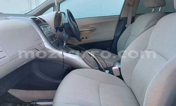 Tenga Tsaru Toyota Auris Sirivha Mota in Maputo in Maputo Tenga Tsaru Toyota Auris Sirivha Mota in Maputo in Maputo