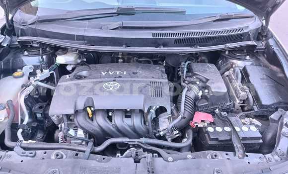 Tenga Tsaru Toyota Auris Sirivha Mota in Maputo in Maputo Tenga Tsaru Toyota Auris Sirivha Mota in Maputo in Maputo