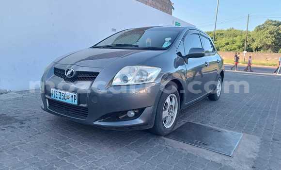 Tenga Tsaru Toyota Auris Sirivha Mota in Maputo in Maputo Tenga Tsaru Toyota Auris Sirivha Mota in Maputo in Maputo