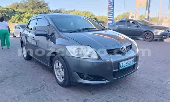 Tenga Tsaru Toyota Auris Sirivha Mota in Maputo in Maputo Tenga Tsaru Toyota Auris Sirivha Mota in Maputo in Maputo