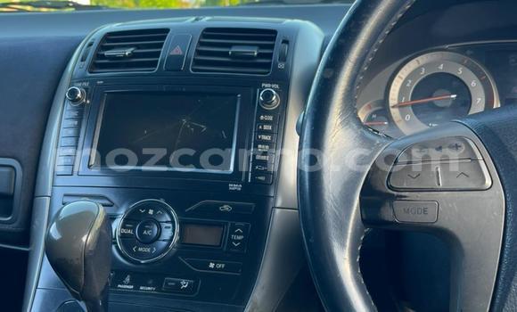 Tenga Tsaru Toyota Blade Bhurawuni Mota in Maputo in Maputo Tenga Tsaru Toyota Blade Bhurawuni Mota in Maputo in Maputo