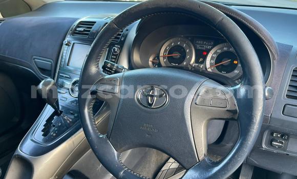 Tenga Tsaru Toyota Blade Bhurawuni Mota in Maputo in Maputo Tenga Tsaru Toyota Blade Bhurawuni Mota in Maputo in Maputo