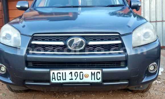 Buy Used Toyota RAV4 Blue Car in Maputo in Maputo Buy Used Toyota RAV4 Blue Car in Maputo in Maputo