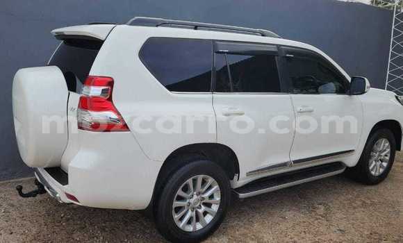 Comprar Novo Toyota Land Cruiser Prado Branco Carro em Maputo em Maputo Comprar Novo Toyota Land Cruiser Prado Branco Carro em Maputo em Maputo