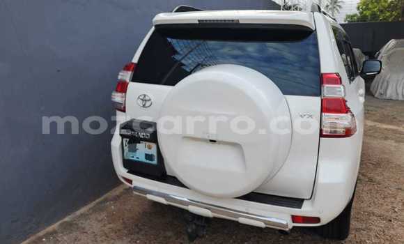 Comprar Novo Toyota Land Cruiser Prado Branco Carro em Maputo em Maputo Comprar Novo Toyota Land Cruiser Prado Branco Carro em Maputo em Maputo