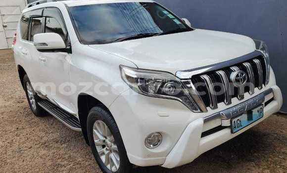 Comprar Novo Toyota Land Cruiser Prado Branco Carro em Maputo em Maputo Comprar Novo Toyota Land Cruiser Prado Branco Carro em Maputo em Maputo