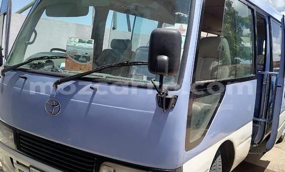 Comprar Usado Toyota Coaster Azul Carro em Maputo em Maputo Comprar Usado Toyota Coaster Azul Carro em Maputo em Maputo