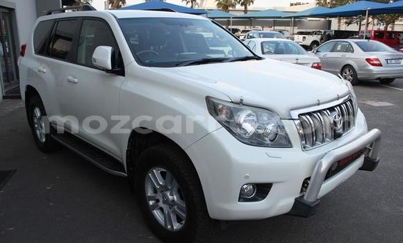 Nunua Ilio tumika Toyota Land Cruiser Prado Nyeupe Gari ndani ya Gilé nchini Zambezia Nunua Ilio tumika Toyota Land Cruiser Prado Nyeupe Gari ndani ya Gilé nchini Zambezia