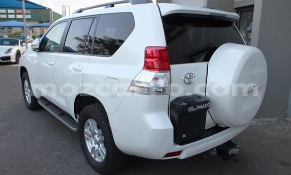 Nunua Ilio tumika Toyota Land Cruiser Prado Nyeupe Gari ndani ya Gilé nchini Zambezia Nunua Ilio tumika Toyota Land Cruiser Prado Nyeupe Gari ndani ya Gilé nchini Zambezia