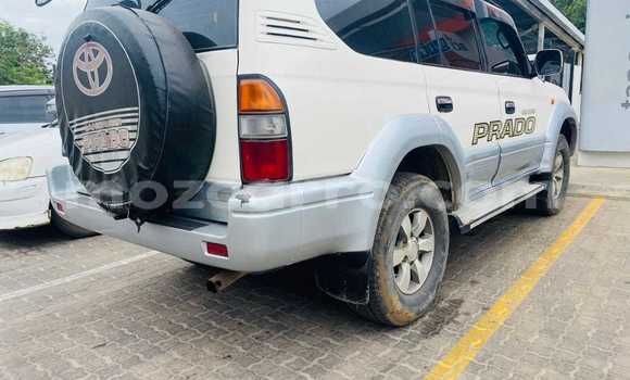 Nunua Ilio tumika Toyota Land Cruiser Prado Nyingine Gari ndani ya Maputo nchini Maputo Nunua Ilio tumika Toyota Land Cruiser Prado Nyingine Gari ndani ya Maputo nchini Maputo