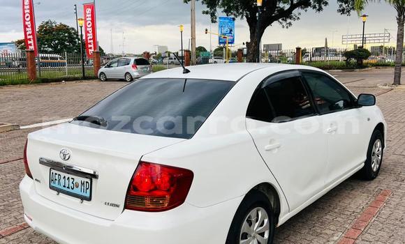Tenga Tsaru Toyota Allion Chena Mota in Maputo in Maputo Tenga Tsaru Toyota Allion Chena Mota in Maputo in Maputo