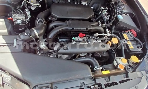 Buy New Subaru Outback Blue Car in Maputo in Maputo Buy New Subaru Outback Blue Car in Maputo in Maputo