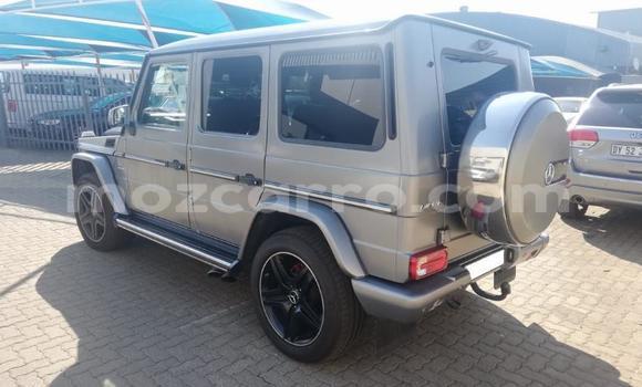 Tenga Tsaru Mercedes‒Benz G-klasse AMG Sirivha Mota in Maputo in Maputo Tenga Tsaru Mercedes‒Benz G-klasse AMG Sirivha Mota in Maputo in Maputo