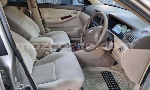 Comprar Usado Toyota Mark X ZiO De outros Carro em Caia em Sofala Comprar Usado Toyota Mark X ZiO De outros Carro em Caia em Sofala